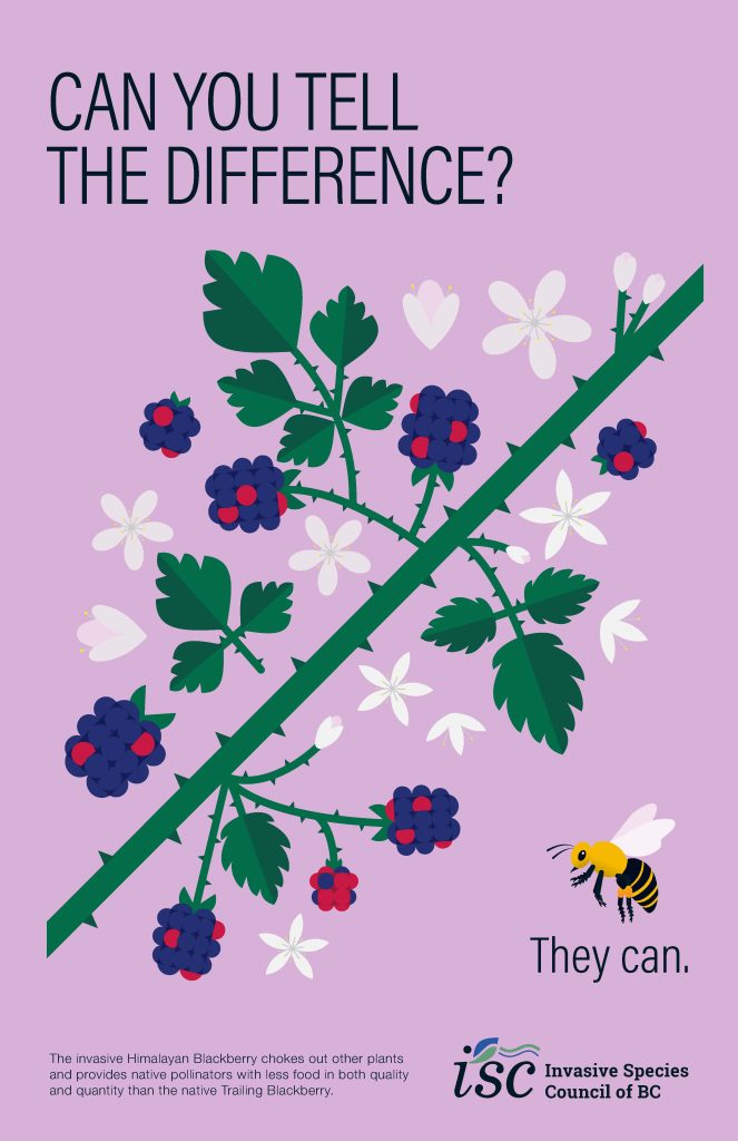 Student: Vienna May S., Designer: Christopher Dina, Cause: Invasive Species (Winter 2022)